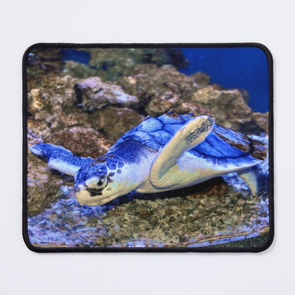 Item preview, Sea Turtle designed and sold by Savannah Gibbs.