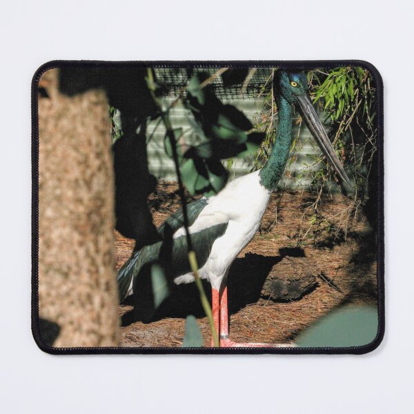 Item preview, Bin Chicken designed and sold by eidann.