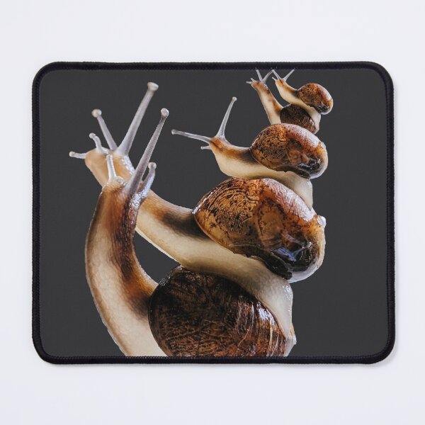 Item preview, Garden Snail Stack designed and sold by Anne-Maree Hunter.