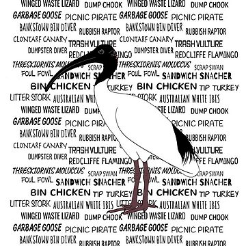 Artwork thumbnail, Bin Chicken Nicknames by BinChickenBaby