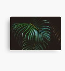 High Class Jungle - Dark Fauna Canvas Print