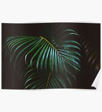High Class Jungle - Dark Fauna Poster