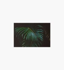High Class Jungle - Dark Fauna Art Board