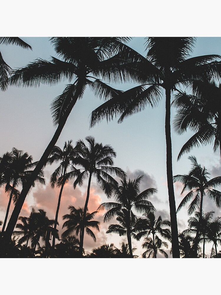Pacific Palms by TravelDream