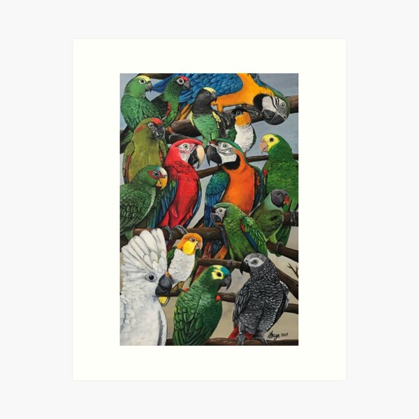 "Peter's Exotics" Art Print