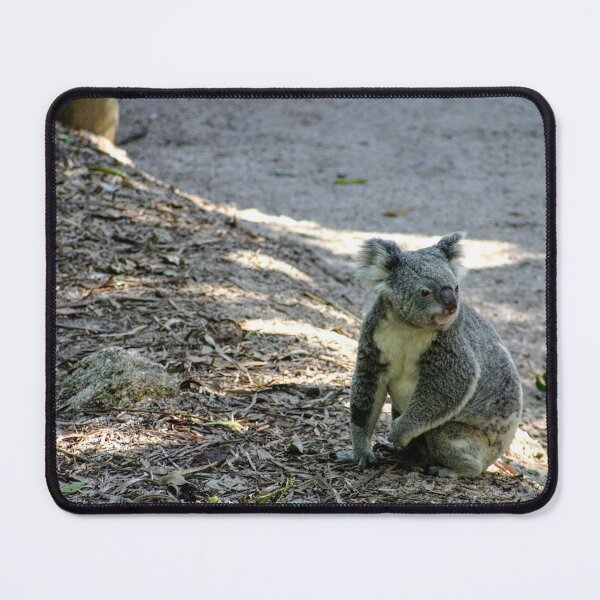 Item preview, Koala Or Drop Bear? designed and sold by eidann.