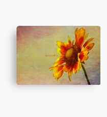 Gaillardia Leinwanddruck
