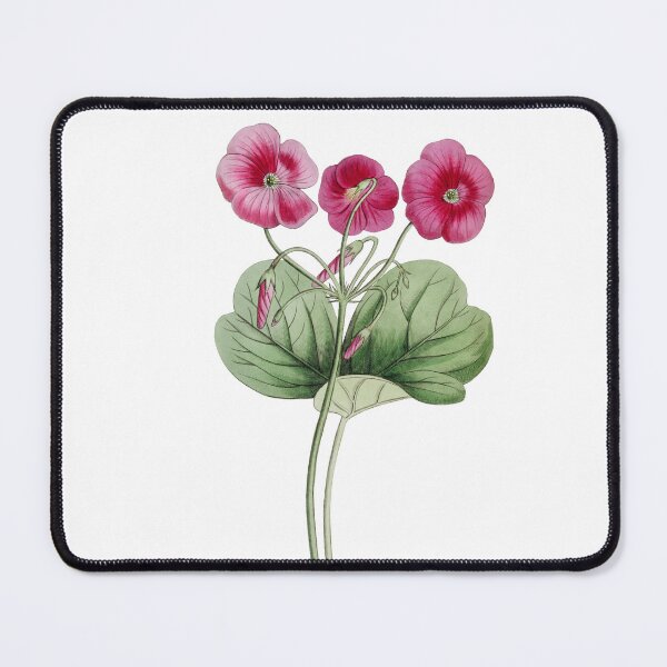 Item preview, Bowie's oxalis Flower designed and sold by Artisticlance.