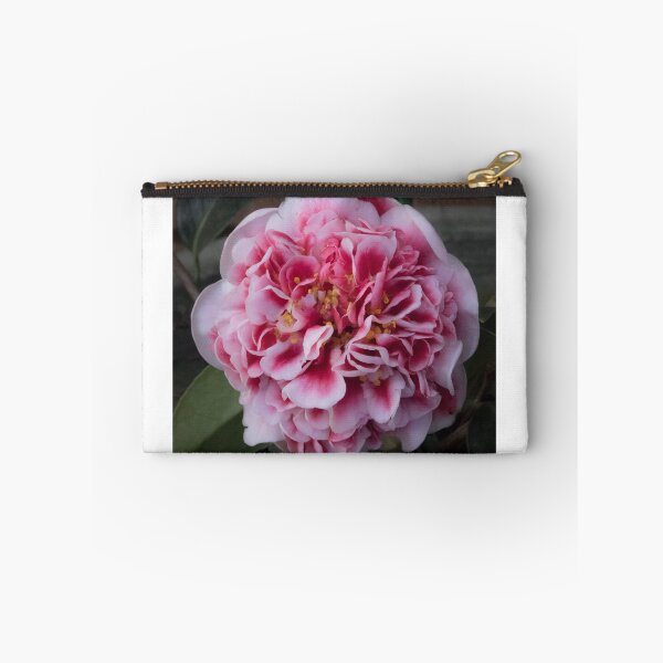 Item preview, Camellia - Volunteer designed and sold by DPalmer.