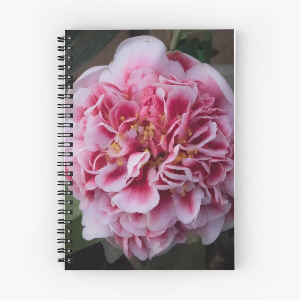 Item preview, Camellia - Volunteer designed and sold by DPalmer.