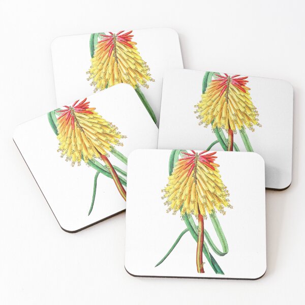 Item preview, Burchell's tritoma Flower designed and sold by Artisticlance.