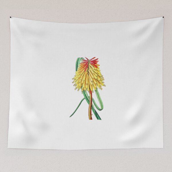Item preview, Burchell's tritoma Flower designed and sold by Artisticlance.