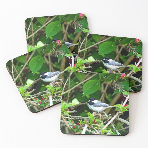 Item preview, Black-capped Chickadee Hiding In A Bush designed and sold by BackyardBirder.