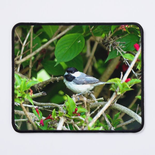 Item preview, Black-capped Chickadee Hiding In A Bush designed and sold by BackyardBirder.