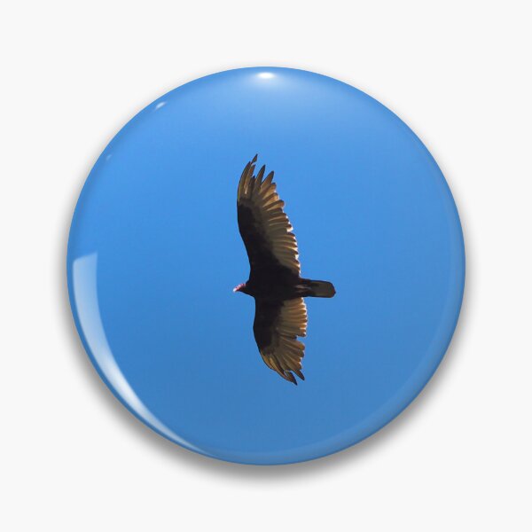 Item preview, Turkey Vulture Hovering In The Air designed and sold by BackyardBirder.