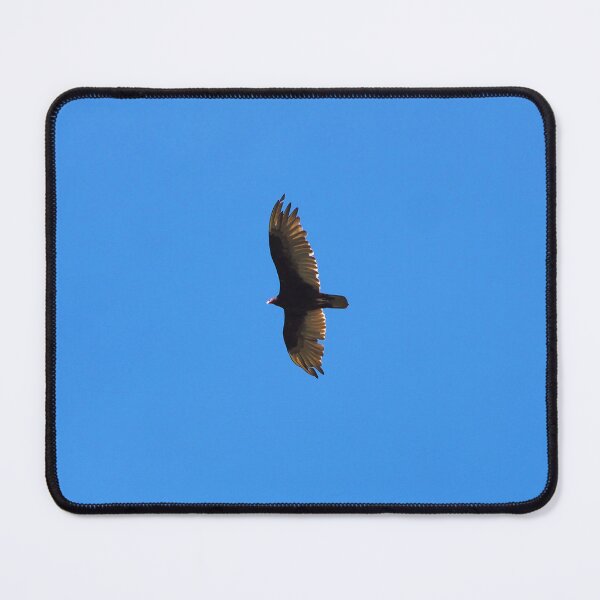 Item preview, Turkey Vulture Hovering In The Air designed and sold by BackyardBirder.