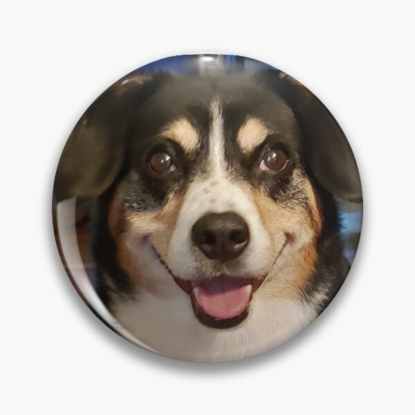 Item preview, Entlebucher smiles designed and sold by Kim Taylor.