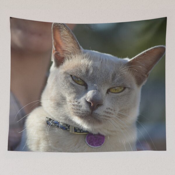 Item preview, Contemplation designed and sold by lizdomett.