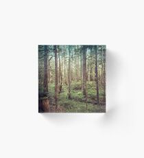 Forest Trees - Tree Woods Green Nature Outdoor Adventure Acrylic Block