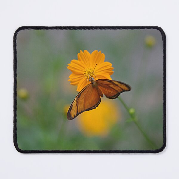 Item preview, Solitary designed and sold by Katrina Freckleton.
