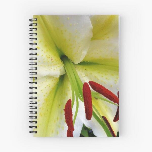 Item preview, Consider the lilies - Glorious Lemon and White Lily designed and sold by Kathryn Jones.