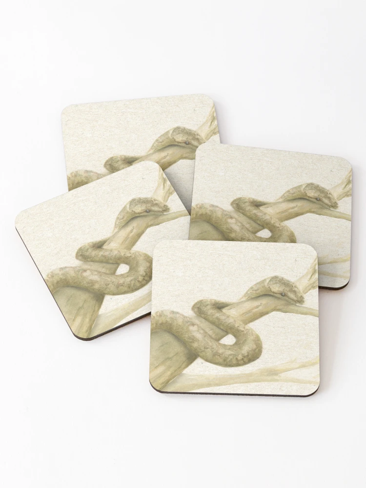 Thumbnail 1 of 5, Coasters (Set of 4), Scrub Python designed and sold by ChrissyWild.