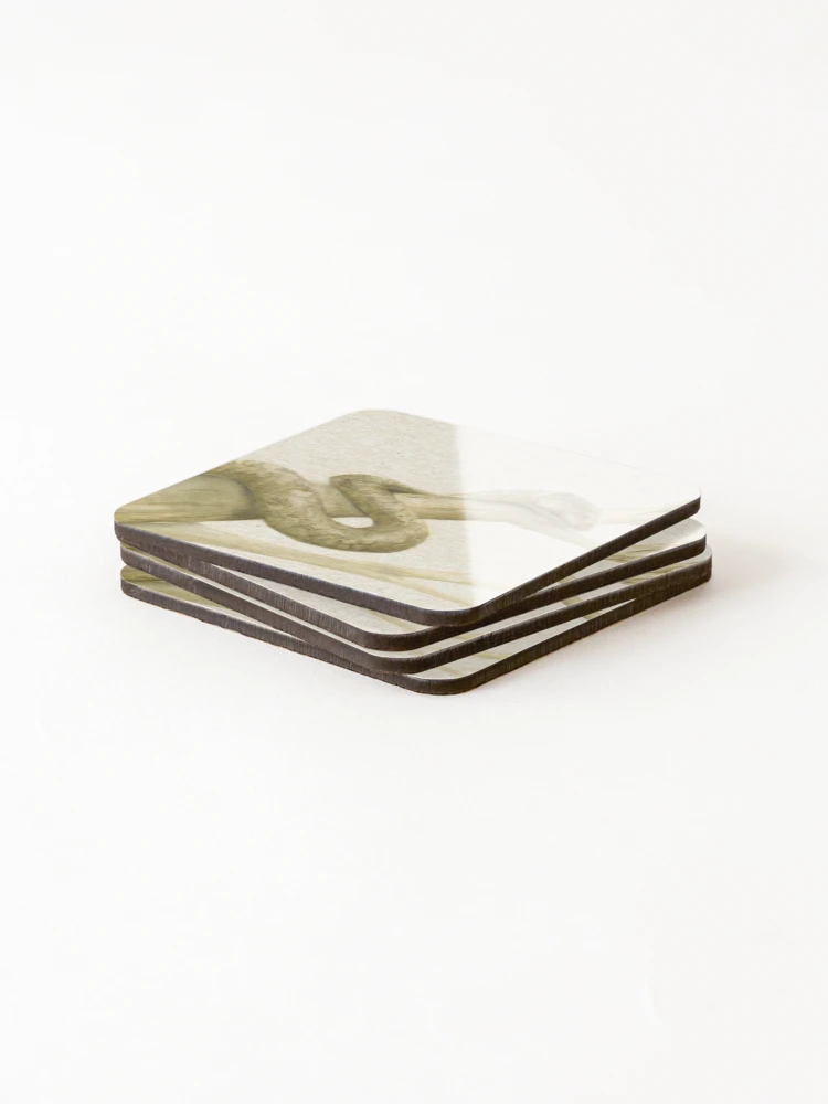 Thumbnail 4 of 5, Coasters (Set of 4), Scrub Python designed and sold by ChrissyWild.