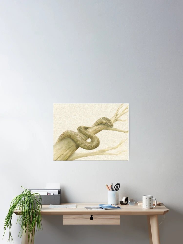 Thumbnail 2 of 3, Poster, Scrub Python designed and sold by ChrissyWild.