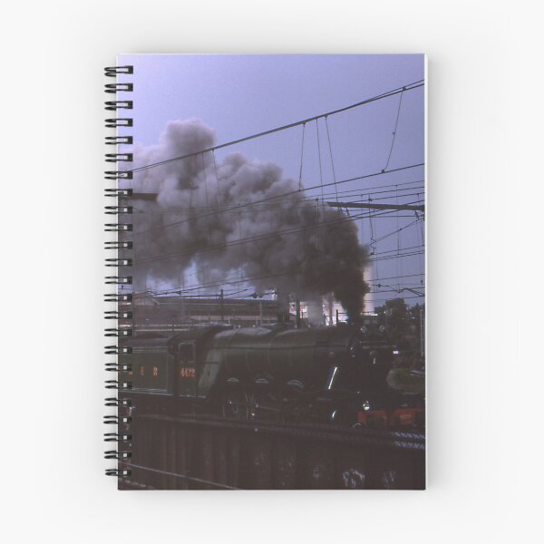 Item preview, "Flying Scotsman" & 3801 @ Strathfield, Australia 1989 designed and sold by muz2142.