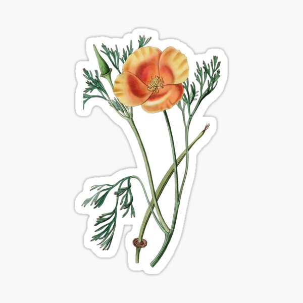 Item preview, Saffron colored eschscholzia Flower designed and sold by Artisticlance.