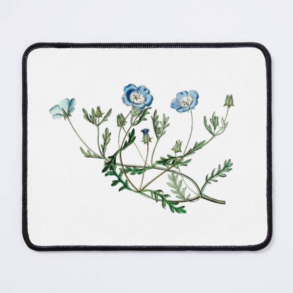 Item preview, Shewy nemophila Flower designed and sold by Artisticlance.