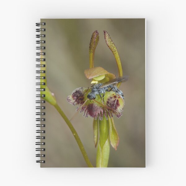 Item preview, The Great Deception. designed and sold by James Peake Nature Photography..