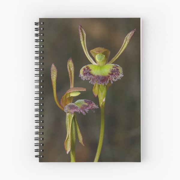 Item preview, Two of a Kind. designed and sold by James Peake Nature Photography..