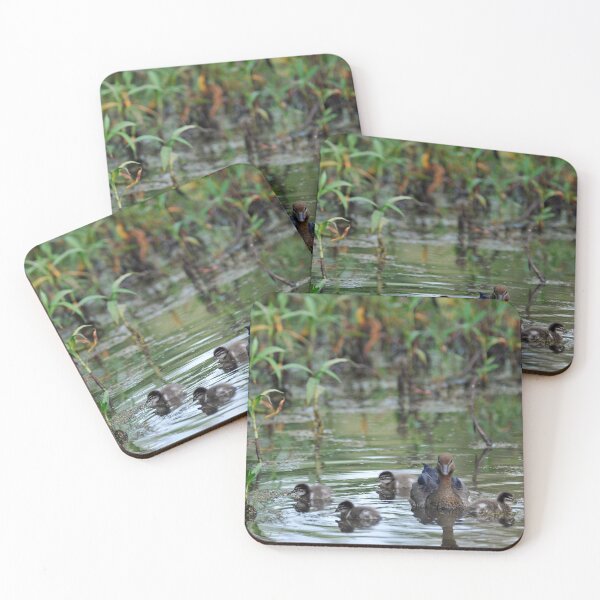 Item preview, Pato y pollitos en nuestra presa designed and sold by Ralph de Zilva.