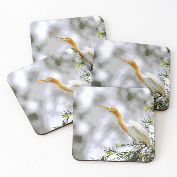 Item preview, Cattle Egret In Gympie, Queensland, Australai. designed and sold by Ralph de Zilva.