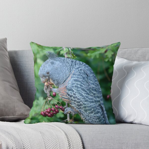 Item preview, Lady Gang Gang. designed and sold by James Peake Nature Photography..