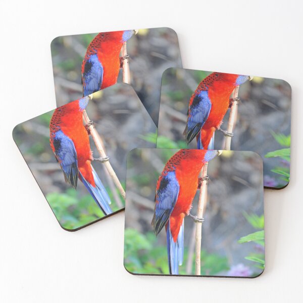 Item preview, Crimson Rosella On Our Property. Cedar Creek, Qld, Australia. designed and sold by Ralph de Zilva.