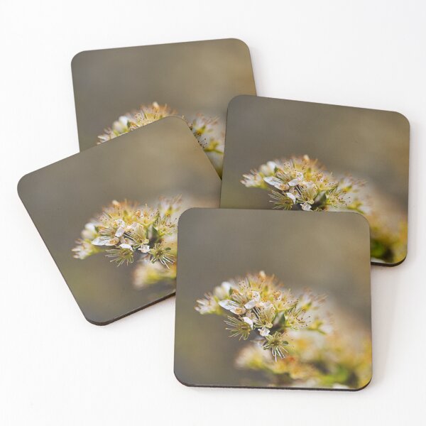 Item preview, Ageing White Blossom Beauty  designed and sold by Joy Watson - Natural Light Photography .