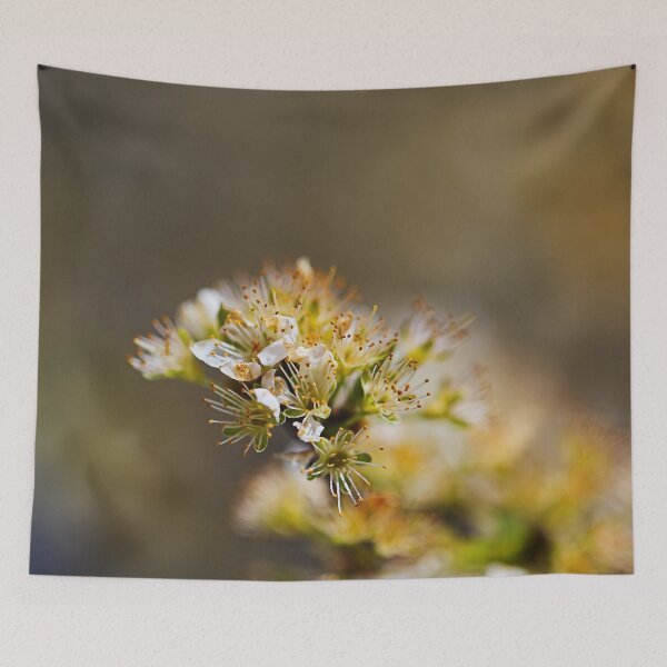 Item preview, Ageing White Blossom Beauty  designed and sold by Joy Watson - Natural Light Photography .