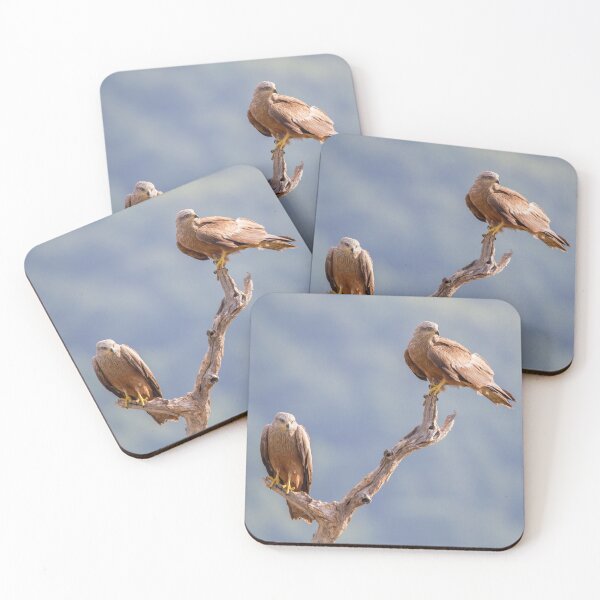 Item preview, Black Kites designed and sold by Dominika Aniola.