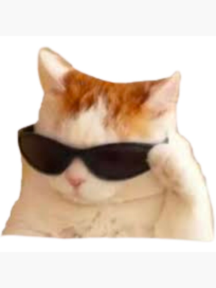 Lunettes de soleil chat Poster - Technical View