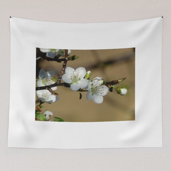 Item preview, Plum blossoms in the spotlight designed and sold by Pauline Sykes.