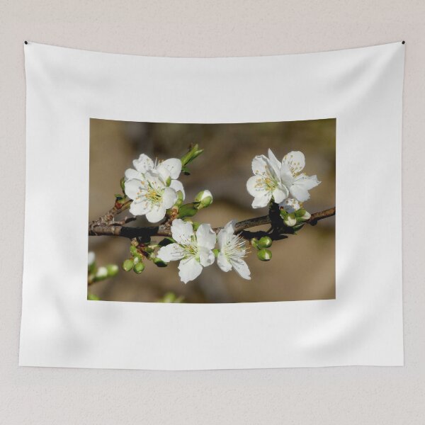 Item preview, Spring Plum Blossom designed and sold by Pauline Sykes.