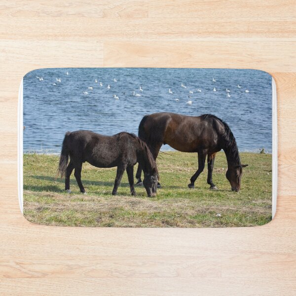 Item preview, The calm of the horses designed and sold by Claudia-Evans.