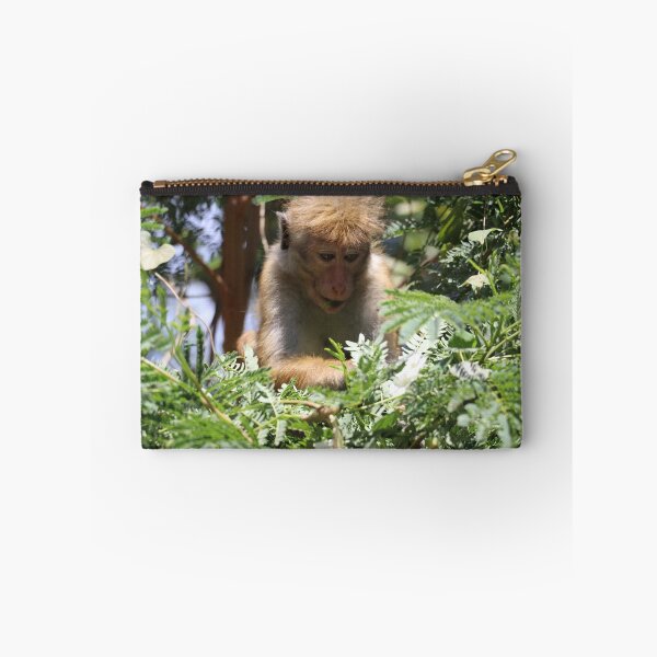Item preview, Sri Lanka Kandy Bonnet Monkey Monkey Hutaffe Tree designed and sold by eickys.