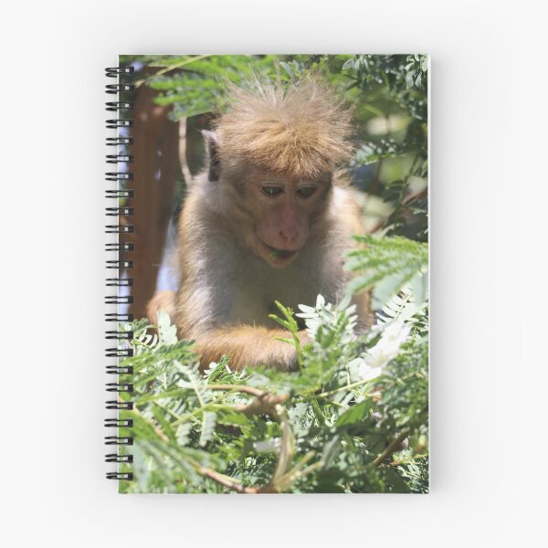 Item preview, Sri Lanka Kandy Bonnet Monkey Monkey Hutaffe Tree designed and sold by eickys.