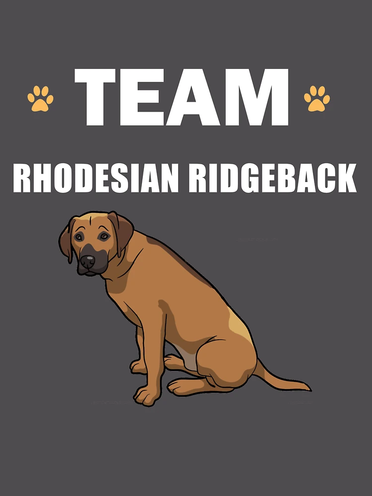 Thumbnail 6 of 6, Premium Oversized Hoodie, Team Rhodesian Ridgeback designed and sold by AlwaysAwesome.