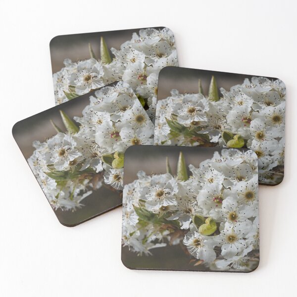 Item preview, Beauty In White Spring Blossom  designed and sold by Joy Watson - Natural Light Photography .