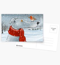 Song the Robin Taught Me Postcards