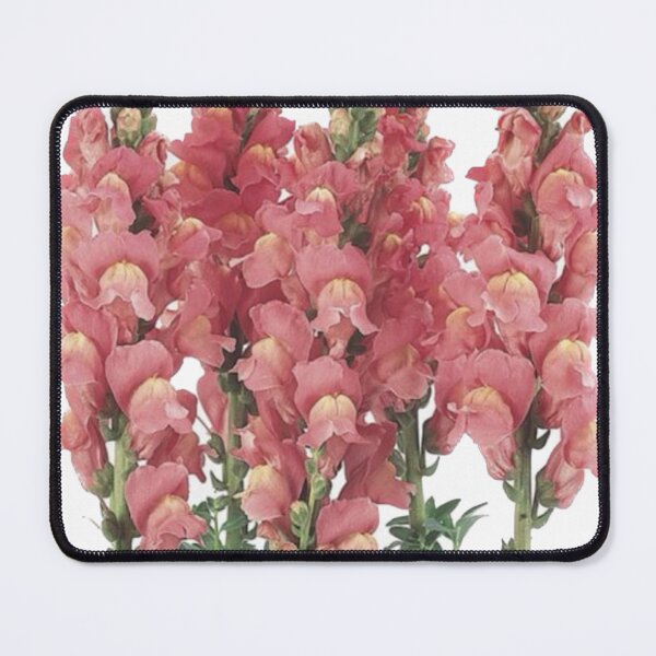 Item preview, Vintage Snapdragons designed and sold by MandMco.